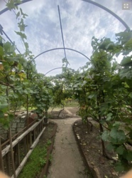 ��� � ��������� ������ � ����������� ���� 3