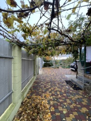 Гарний будинок, у Вишневому Саду фото 7 Гарний будинок, у Вишневому Саду фото 7