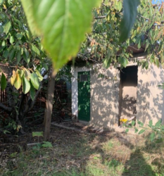 Дача на Ветеране фото 6 Дача на Ветеране фото 6