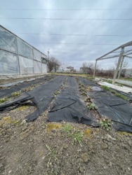 Продам два дома по цене одного! фото 34 Продам два дома по цене одного! фото 34