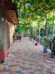 ���-���� ������� ���� 12