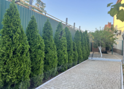 Дом в Черноморске фото 3 Дом в Черноморске фото 3