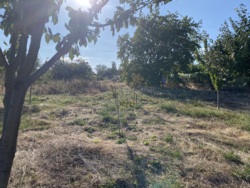 ��������� ������� �������, �����������, ������������ ���� 16