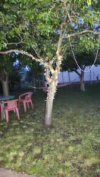 ������ ���� � �������� ����� ���� 10