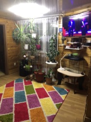 Продається будинок Одеська, Чорноморськ, Молодіжне фото 2 Продається будинок Одеська, Чорноморськ, Молодіжне фото 2