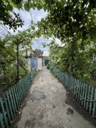 ��� � ������ ���� 6