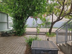 ��� � �� ���� ���� 3