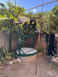 Продається будинок Одеська, Чорноморськ, Великодолинське , СТ Хвиля фото 4 Продається будинок Одеська, Чорноморськ, Великодолинське , СТ Хвиля фото 4