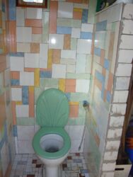 ������ ���� � �������� ����� ���� 13