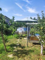 ���-���� ������� ���� 18