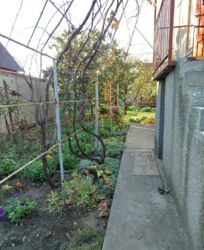 ����������� ��� �� ����� ���� 15