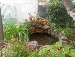 ĳ� � �������� ������������ ���� 6