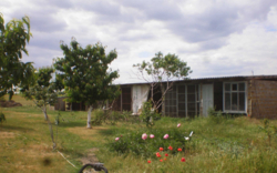 Дом в Малодолинском фото 6 Дом в Малодолинском фото 6