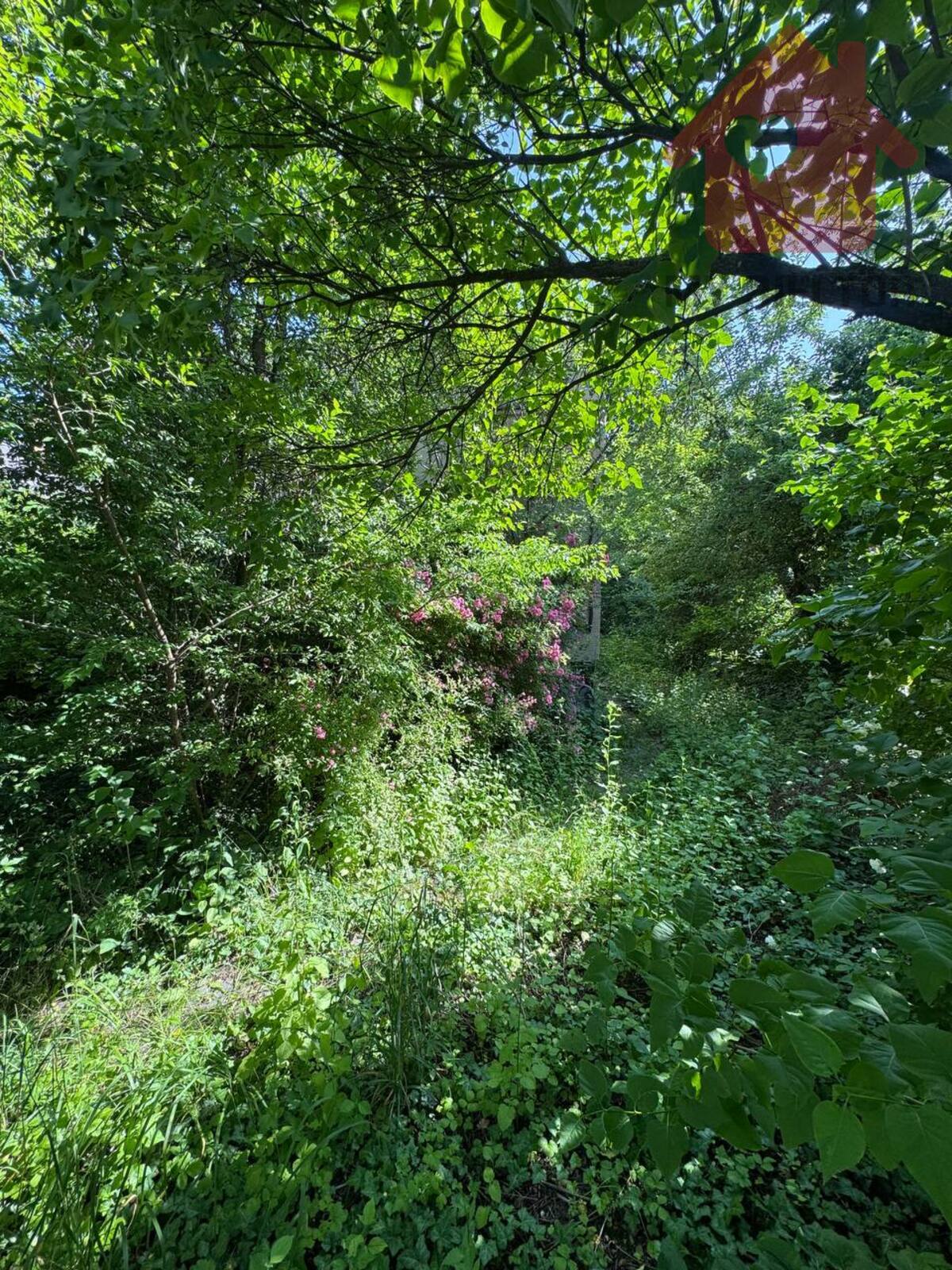 Продаж будинку в районі Дастора! фото 1 Продаж будинку в районі Дастора! фото 1