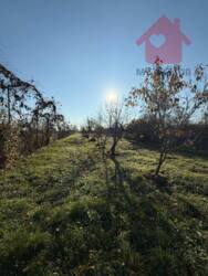 Продаж будинку у с. Шишлівці! фото 11 Продаж будинку у с. Шишлівці! фото 11