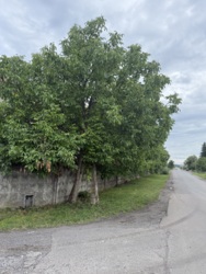 Продається недобудований будинок з 30 сот землі фото 8 Продається недобудований будинок з 30 сот землі фото 8