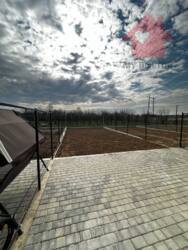 ������ ������� ( �������� ) � �������� ���� 6