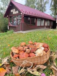 Продаж унікального маєтку у серці Карпат! фото 2 Продаж унікального маєтку у серці Карпат! фото 2