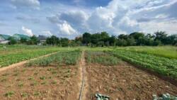 Продаж будинку біля Ужгороду! фото 16 Продаж будинку біля Ужгороду! фото 16