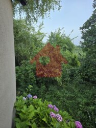 Продаж дачі біля вулиці Джерельна фото 4 Продаж дачі біля вулиці Джерельна фото 4