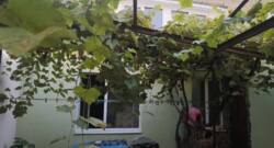 ������ ������� ����� �������� ���� 11