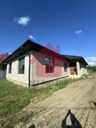 Продаж американки в с Холмок фото 9 Продаж американки в с Холмок фото 9