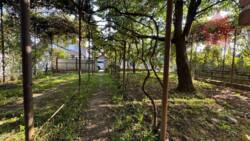 Продаж просторого будинку в Доманинцях! фото 7 Продаж просторого будинку в Доманинцях! фото 7