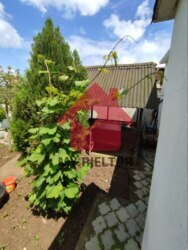 ЄОселя!Продаж неймовірно гарного будинку неподалік термальних басейнів фото 7 ЄОселя!Продаж неймовірно гарного будинку неподалік термальних басейнів фото 7