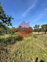 Продаж будинку, мікрорайон Горяни фото 5 Продаж будинку, мікрорайон Горяни фото 5