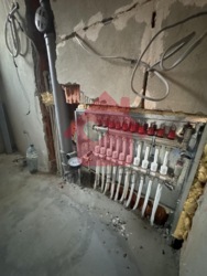 Продаж американки в с Холмок фото 17 Продаж американки в с Холмок фото 17