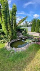 Продаж будинку біля Ужгороду! фото 3 Продаж будинку біля Ужгороду! фото 3