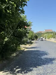 Будинок з великою земельною ділянкою фото 5 Будинок з великою земельною ділянкою фото 5