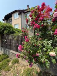 Продається будинок! Кошицька! фото 1 Продається будинок! Кошицька! фото 1