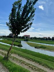 Просторий будинок на набережній у мікрорайоні Росвигово, Мукачево! фото 39 Просторий будинок на набережній у мікрорайоні Росвигово, Мукачево! фото 39