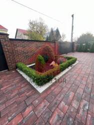 Продаж будинку с.Минай фото 12 Продаж будинку с.Минай фото 12