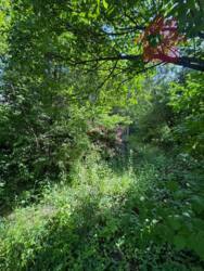 Продаж будинку в районі Дастора! фото 1 Продаж будинку в районі Дастора! фото 1