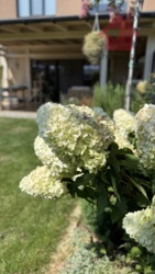 Продаж неймовірно стильного будинку! фото 24 Продаж неймовірно стильного будинку! фото 24