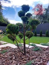 Продаж сучасного котеджу у тихому та спокійному місці! фото 3 Продаж сучасного котеджу у тихому та спокійному місці! фото 3