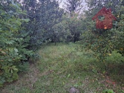 Терміновий продаж будинку в с.Середнє фото 10 Терміновий продаж будинку в с.Середнє фото 10