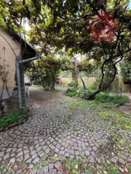 Просторий цегляний будинок можна і під комерцію! Дом - кафе! фото 8 Просторий цегляний будинок можна і під комерцію! Дом - кафе! фото 8