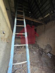 Продаж будинку під реконструкцію в Невицьке! фото 13 Продаж будинку під реконструкцію в Невицьке! фото 13