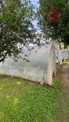 Продаж будинку біля Ужгороду фото 15 Продаж будинку біля Ужгороду фото 15