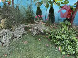 Продаж сучасного будинку в с. Баранинці! фото 3 Продаж сучасного будинку в с. Баранинці! фото 3