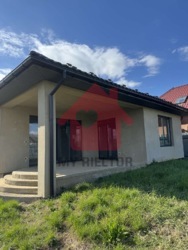 Продаж американки в с Холмок фото 2 Продаж американки в с Холмок фото 2