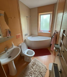 Продається будинок в курортному районі Закарпаття с.Синяк фото 8 Продається будинок в курортному районі Закарпаття с.Синяк фото 8