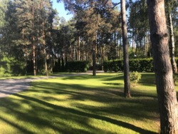 Продаж сучасного одноповерхового будинку з мансардою 322 кв.м + ділянка 44 сот. серед соснового лісу, КМ Riviera Village фото 17 Продаж сучасного одноповерхового будинку з мансардою 322 кв.м + ділянка 44 сот. серед соснового лісу, КМ Riviera Village фото 17