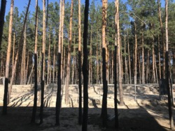 Сучасний будинок 367 кв. м на березі Дніпра в КМ Riviera Village, Вишгородський р-н, c. Лебедівка фото 7 Сучасний будинок 367 кв. м на березі Дніпра в КМ Riviera Village, Вишгородський р-н, c. Лебедівка фото 7