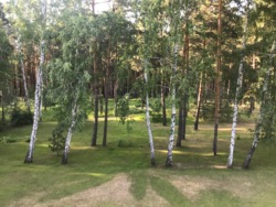 Продаж сучасного одноповерхового будинку з мансардою 322 кв.м + ділянка 44 сот. серед соснового лісу, КМ Riviera Village фото 10 Продаж сучасного одноповерхового будинку з мансардою 322 кв.м + ділянка 44 сот. серед соснового лісу, КМ Riviera Village фото 10