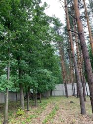 Продаж будинку 250 кв.м під чорнове оздоблення серед соснового лісу, 3 км дамби Київського моря, c. Хотянівка фото 16 Продаж будинку 250 кв.м під чорнове оздоблення серед соснового лісу, 3 км дамби Київського моря, c. Хотянівка фото 16