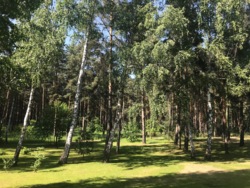 Продаж сучасного одноповерхового будинку з мансардою 322 кв.м + ділянка 44 сот. серед соснового лісу, КМ Riviera Village фото 4 Продаж сучасного одноповерхового будинку з мансардою 322 кв.м + ділянка 44 сот. серед соснового лісу, КМ Riviera Village фото 4